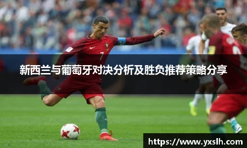 新西兰与葡萄牙对决分析及胜负推荐策略分享