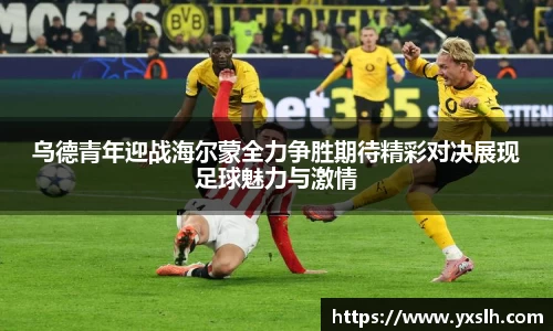 k1体育十年品牌值得信赖